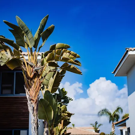 Luxury Beachfront With Private Pool, Yoga & Sea Adventures Dom wakacyjny Larnaca