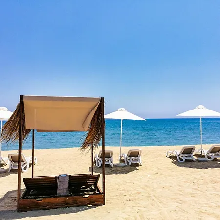 Luxury Beachfront With Private Pool, Private Beach, Yoga & Sea Adventures * ラルナカ