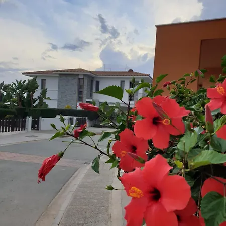 Semesterbostad Luxury Beachfront With Private Pool, Private Beach, Yoga & Sea Adventures Larnaca