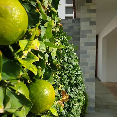 Luxury Beachfront With Private Pool, Private Beach, Yoga & Sea Adventures *