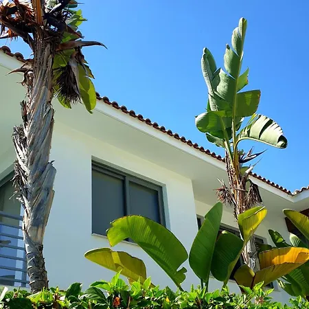 Luxury Beachfront With Private Pool, Private Beach, Yoga & Sea Adventures * Larnaca