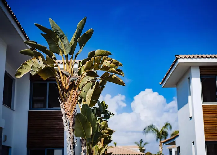 Luxury Beachfront With Private Pool, Private Beach, Yoga & Sea Adventures 別荘 ラルナカ