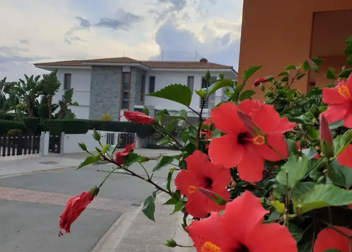 別荘 Luxury Beachfront With Private Pool, Private Beach, Yoga & Sea Adventures ラルナカ