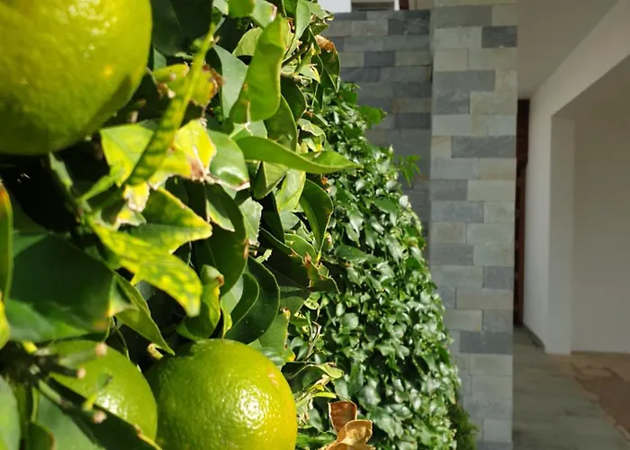 Luxury Beachfront With Private Pool, Private Beach, Yoga & Sea Adventures *